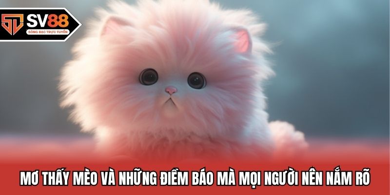 Mơ Thấy Mèo